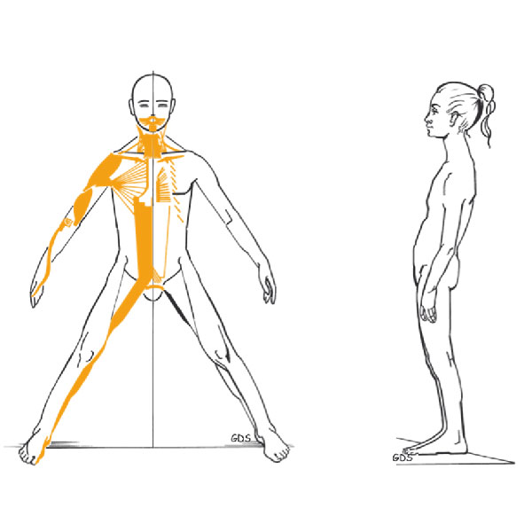 Postura e Cadeia estática posterior - DoFit