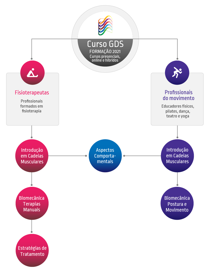 Classificação das Cadeias Musculares - Faça Fisioterapia